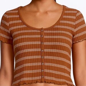 American Eagle Outfitters Brown Striped Crop Top